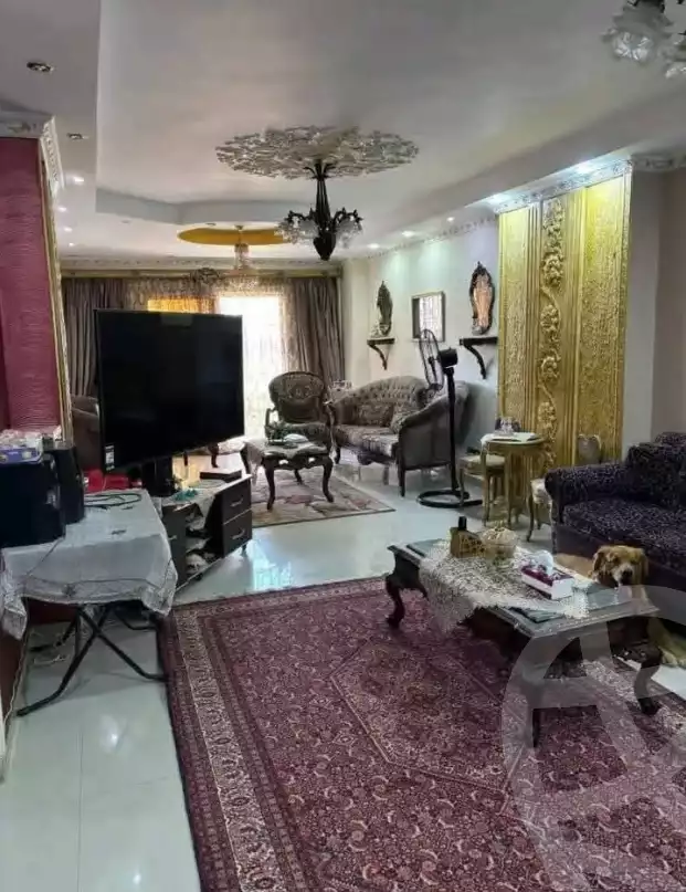 https://aqarmap.com.eg/en/listing/6531718-for-sale-alexandria-l-jmy-lbytsh-el-reyad-st