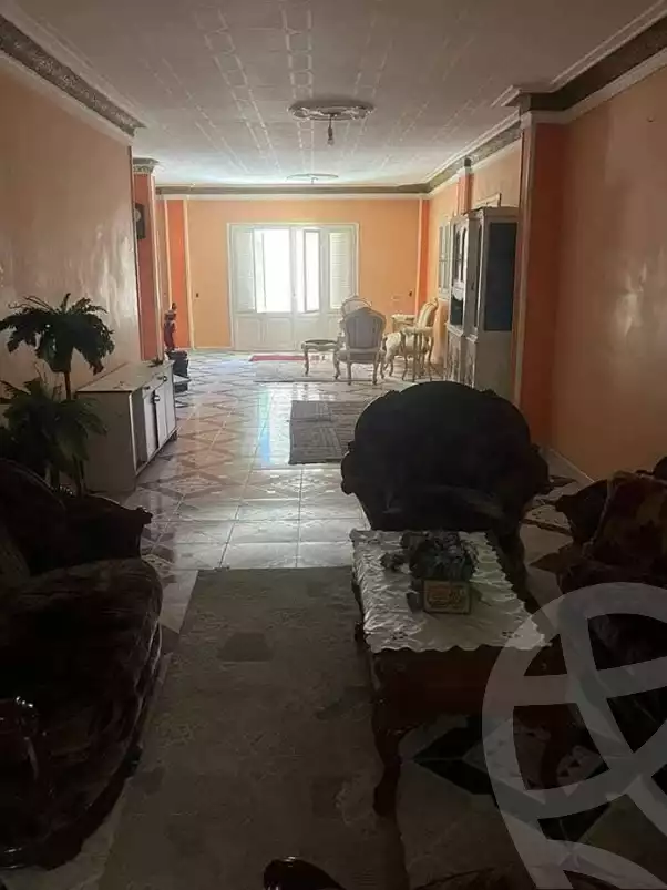 https://aqarmap.com.eg/en/listing/6562819-for-sale-alexandria-l-jmy-lbytsh-al-kaada-st
