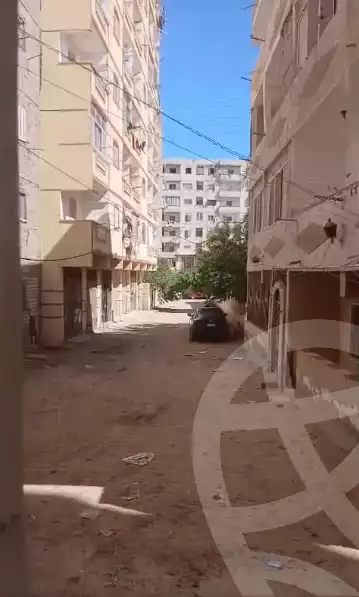 https://aqarmap.com.eg/ar/listing/6578463-for-sale-alexandria-l-jmy-el-hanouvel-el-warsha-st