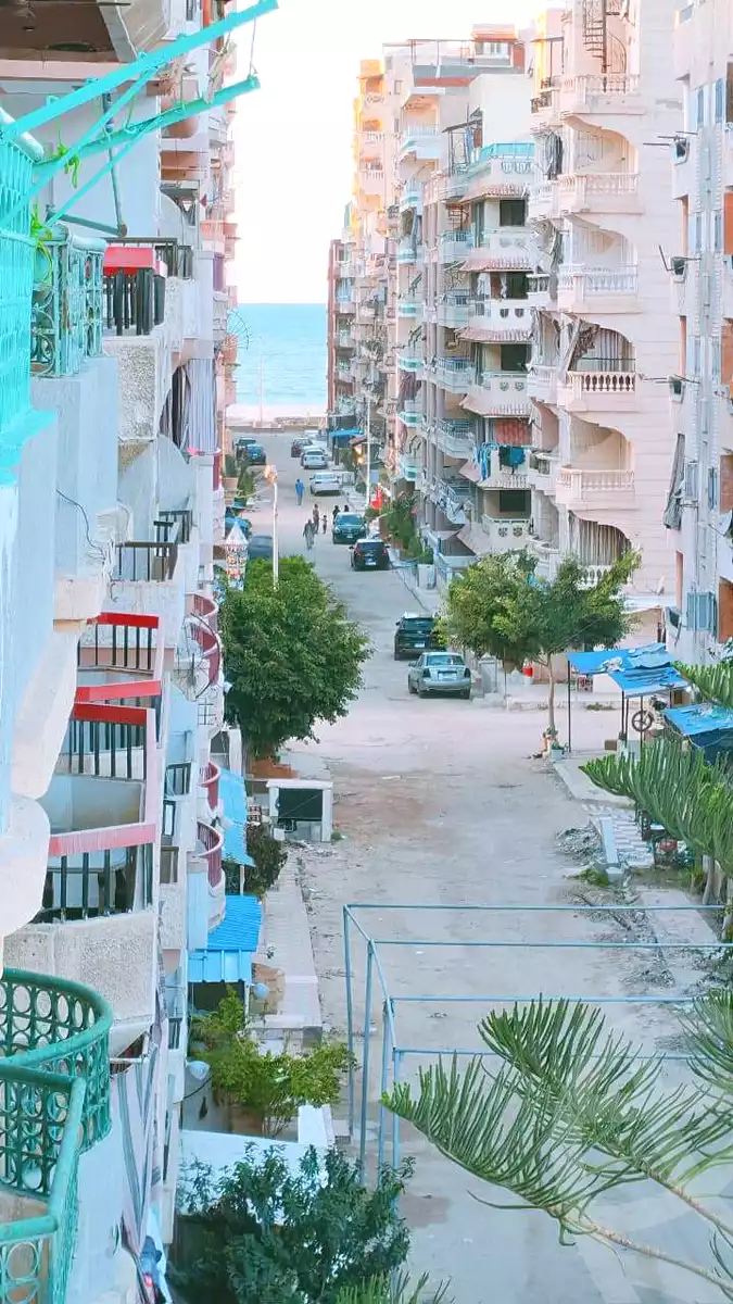 https://aqarmap.com.eg/en/listing/6579974-for-sale-alexandria-l-jmy-shataa-el-nakheel