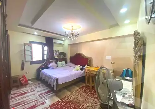 https://aqarmap.com.eg/en/listing/6581877-for-sale-cairo-faisal-el-lebeny