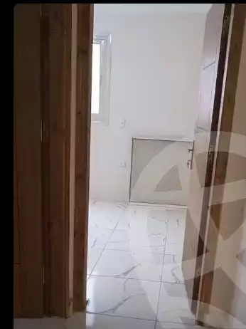 https://aqarmap.com.eg/en/listing/6582546-for-sale-cairo-ain-shams-mnshy-lthryr