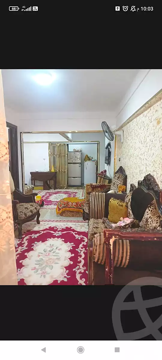 https://aqarmap.com.eg/en/listing/6594517-for-sale-alexandria-l-jmy-el-hanouvel-abo-bakr-el-sedeek-st