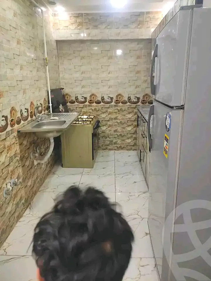 https://aqarmap.com.eg/en/listing/6598853-for-rent-cairo-faisal-el-maryotyah-kabeish-rd