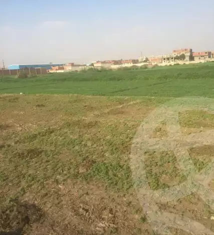 https://aqarmap.com.eg/en/listing/6602065-for-sale-cairo-helwan-kwrnysh-hlwn