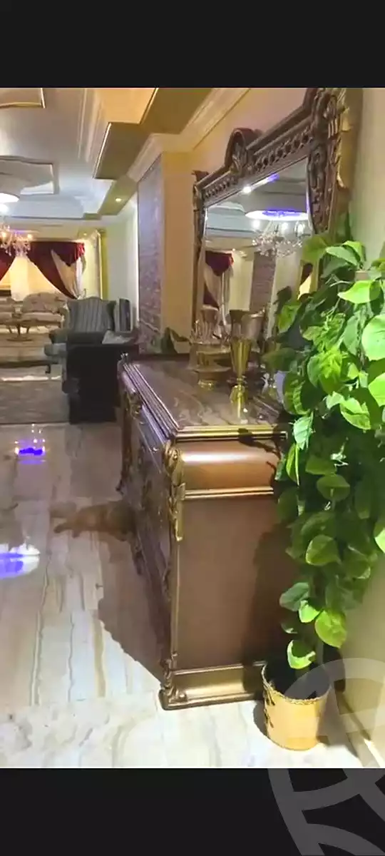 https://aqarmap.com.eg/en/listing/6607206-for-sale-cairo-faisal-el-arbaeen-st
