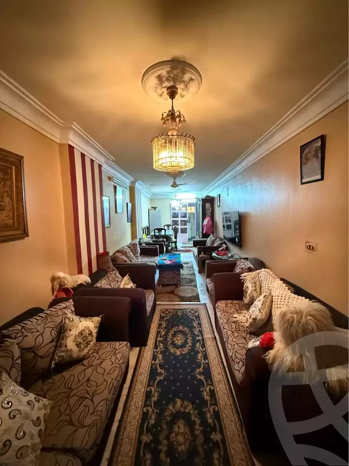 https://aqarmap.com.eg/ar/listing/6630795-for-sale-alexandria-el-asafra-ali-bahgat-al-deryni-st