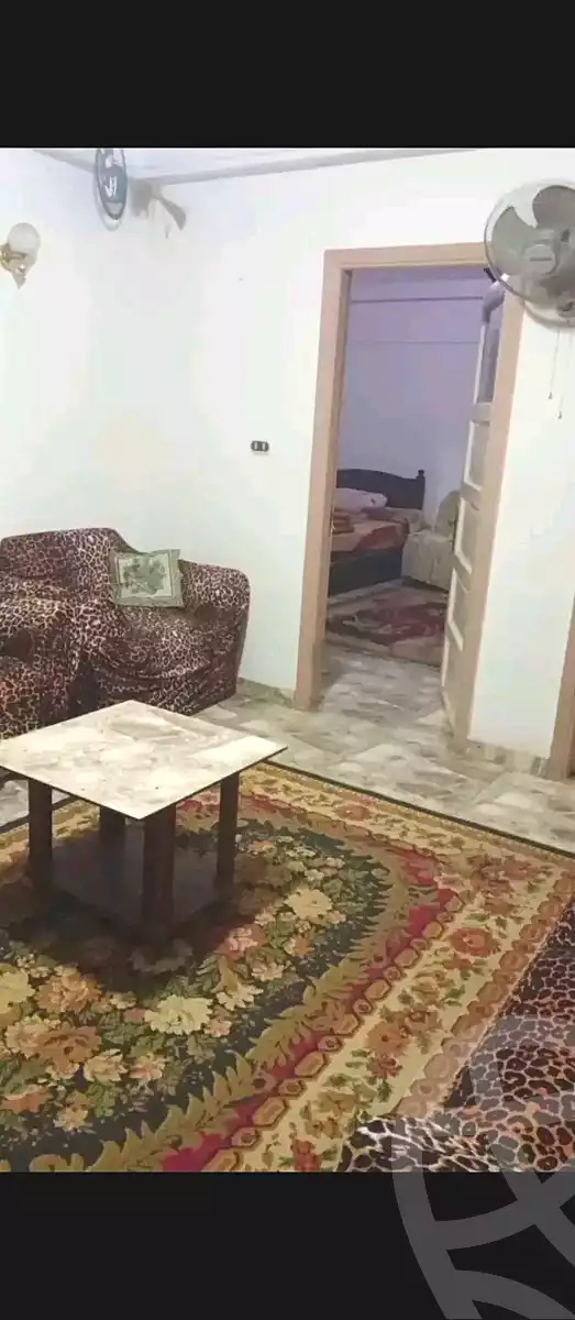 https://aqarmap.com.eg/en/listing/6631890-for-rent-alexandria-sydy-bshr-sydy-bshr-qbly-saif-st