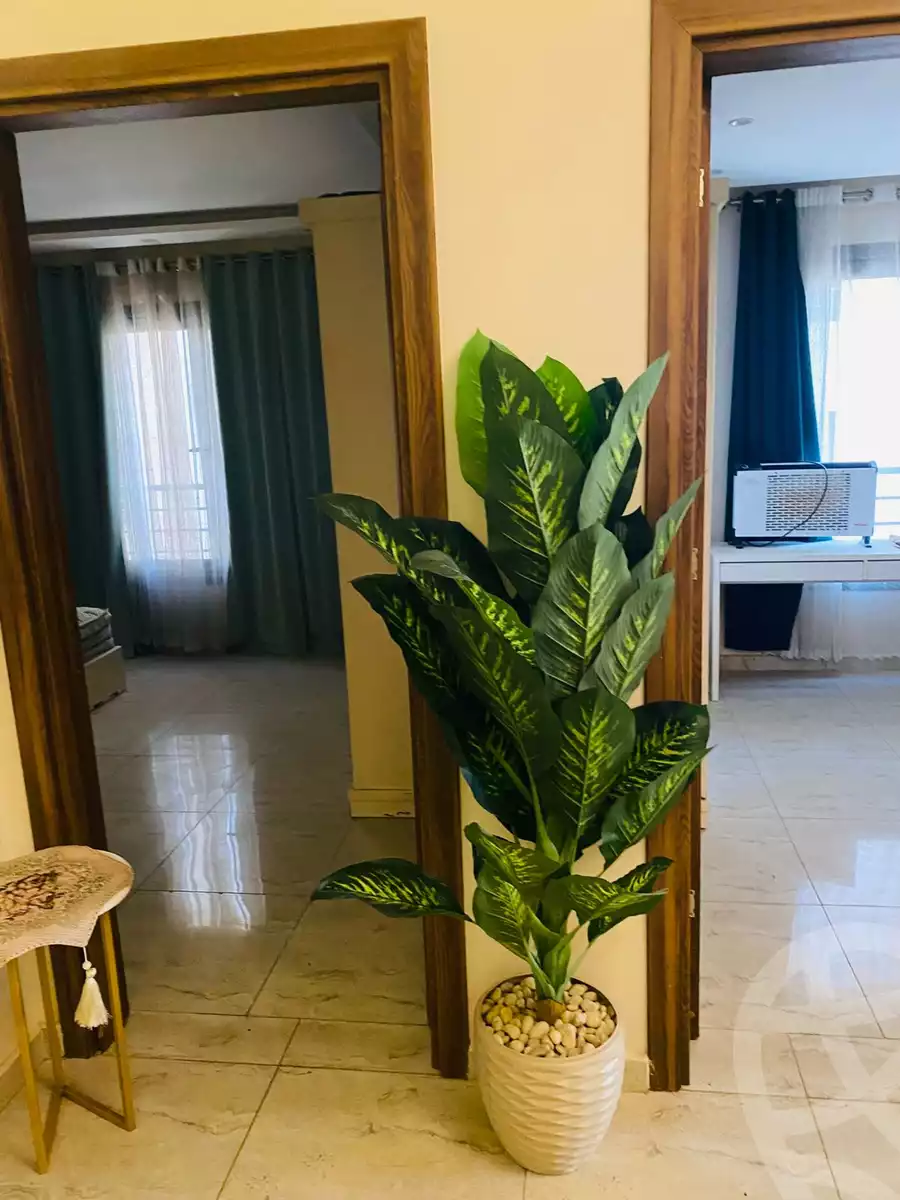 https://aqarmap.com.eg/ar/listing/6633767-for-rent-cairo-el-maadi-compounds-ashgar-darna