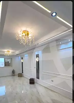 https://aqarmap.com.eg/ar/listing/6639747-for-sale-cairo-ain-shams-mnshy-lthryr