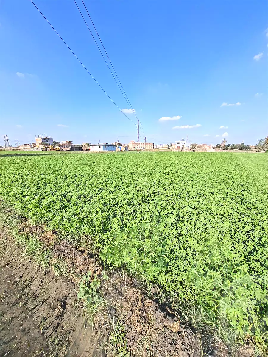 https://aqarmap.com.eg/ar/listing/6623703-for-sale-sharqia-faqous-el-sawaleh