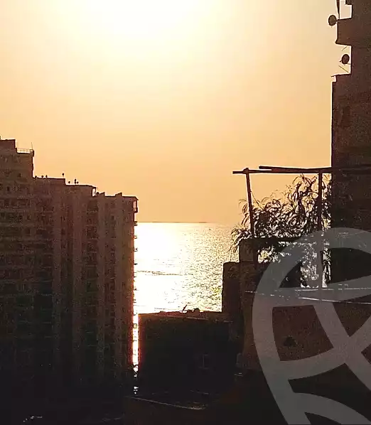 https://aqarmap.com.eg/en/listing/6640930-for-sale-alexandria-el-asafra-l-sfr-bhry-edrees-st