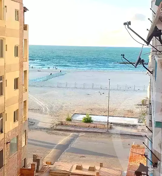 https://aqarmap.com.eg/ar/listing/6640955-for-sale-alexandria-l-jmy-shataa-el-nakheel