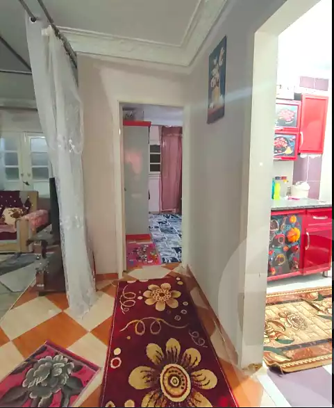 https://aqarmap.com.eg/en/listing/6642196-for-sale-alexandria-l-jmy-lbytsh-al-zankaloni-st