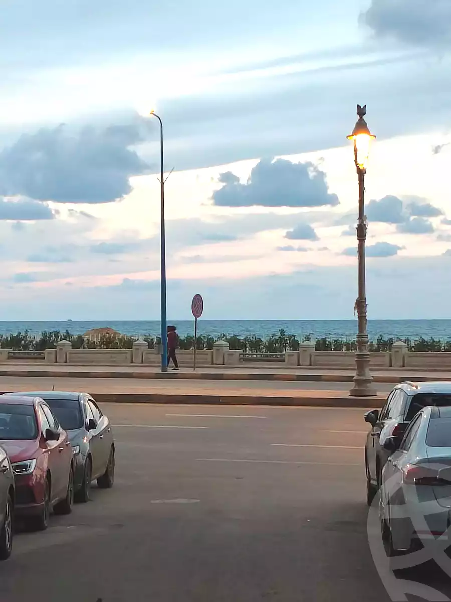https://aqarmap.com.eg/en/listing/6647617-for-rent-alexandria-el-asafra-shr-ljysh