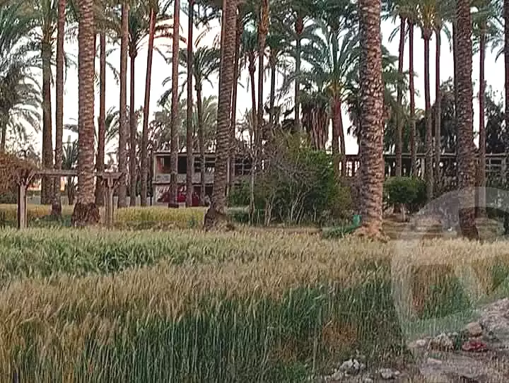 https://aqarmap.com.eg/ar/listing/6649339-for-sale-alexandria-borg-el-arab