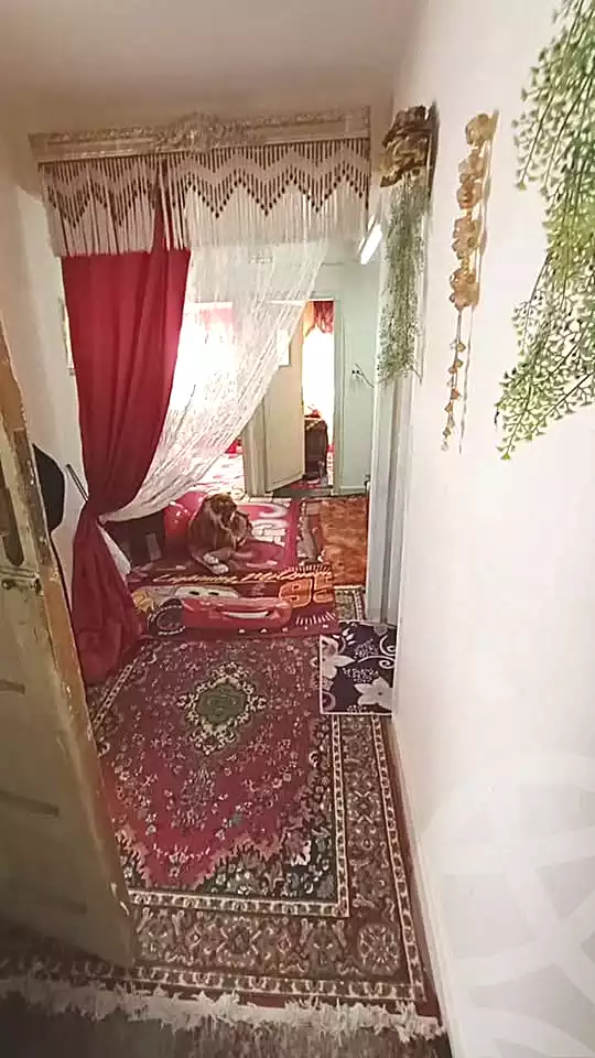 https://aqarmap.com.eg/en/listing/6650296-for-sale-alexandria-el-dekhela-el-geish-st