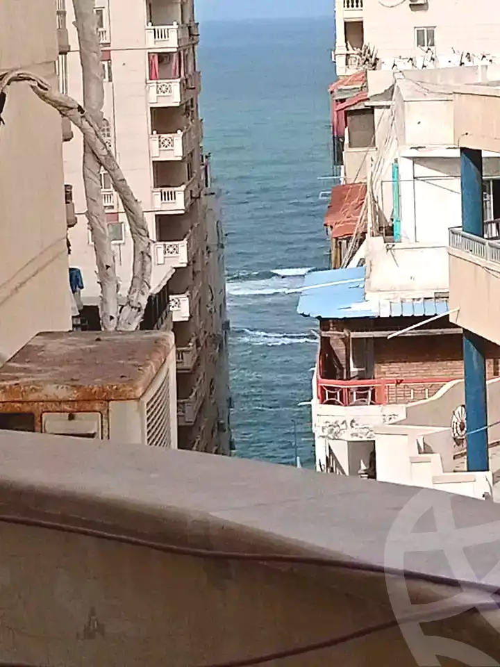 https://aqarmap.com.eg/en/listing/6654003-for-sale-alexandria-el-asafra-l-sfr-bhry-el-geish-rd