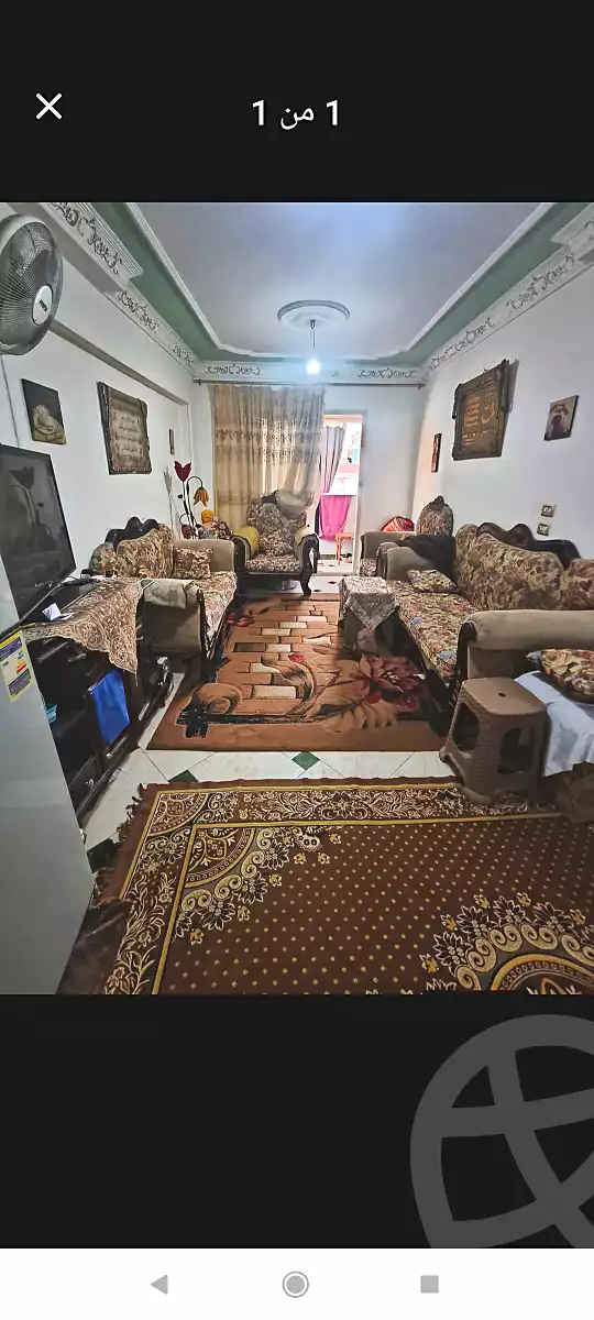 https://aqarmap.com.eg/ar/listing/6655487-for-sale-alexandria-lsywf-el-falki-street-16-el-eslah