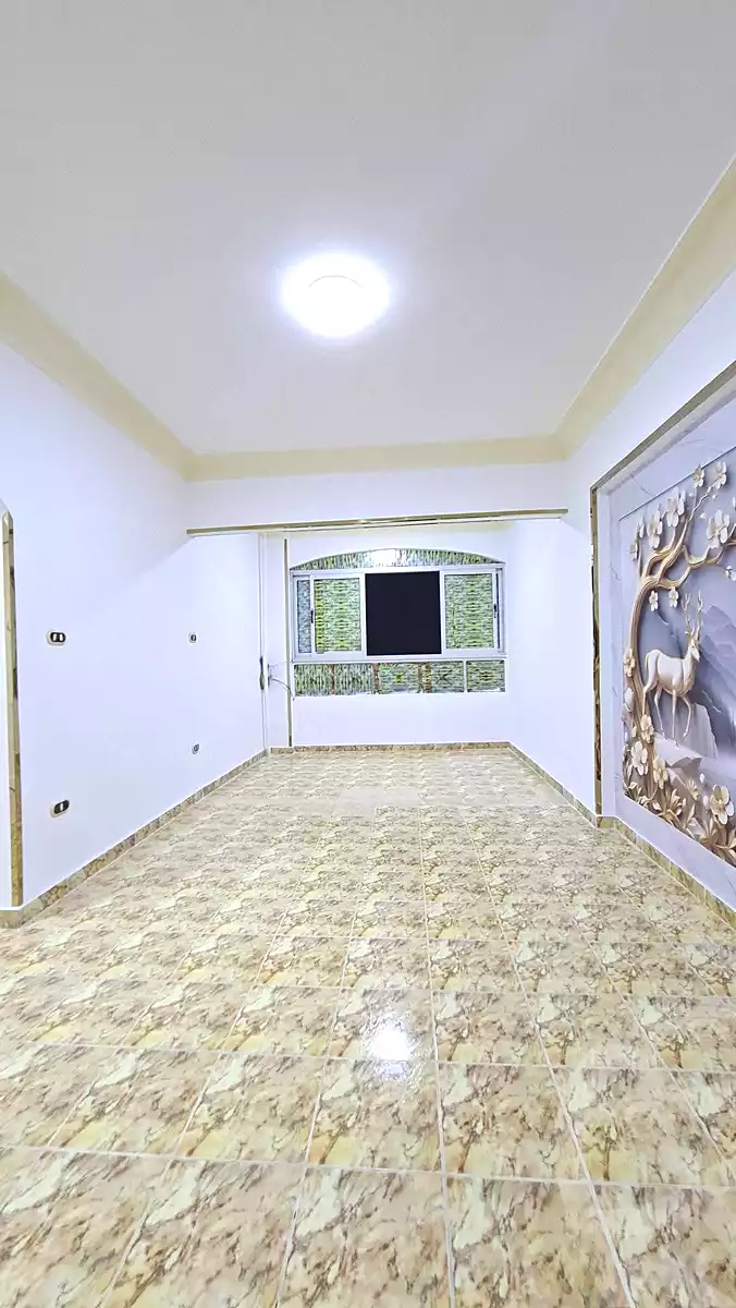 https://aqarmap.com.eg/en/listing/6657034-for-sale-alexandria-l-jmy-shataa-el-nakheel