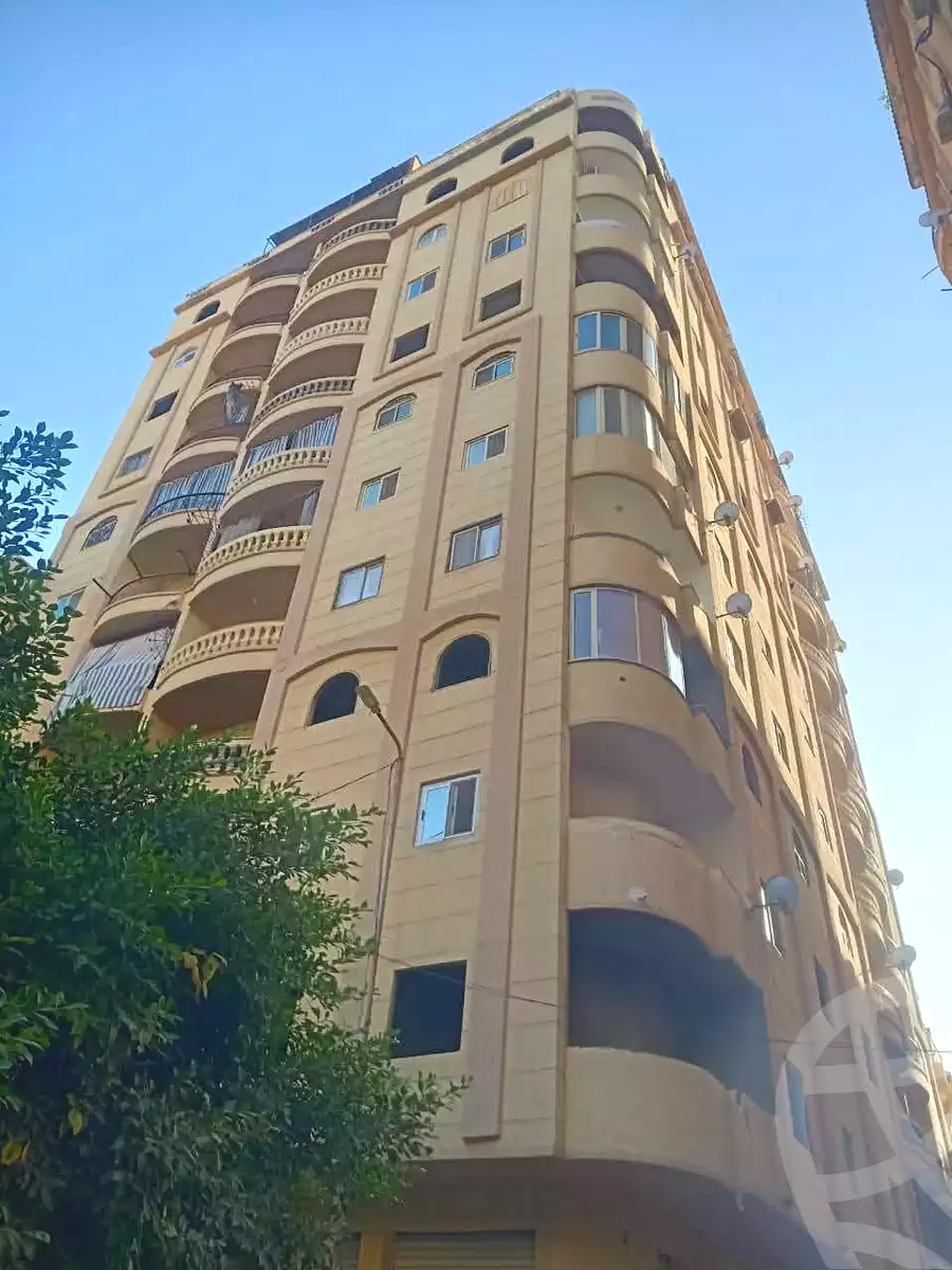 https://aqarmap.com.eg/ar/listing/6659289-for-sale-alexandria-l-jmy-l-jmy-lbhry-abd-el-hameed-radwan-st