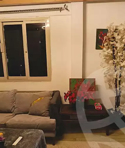 https://aqarmap.com.eg/ar/listing/6659326-for-rent-cairo-al-zamalek-kwrnysh-lnyl-lzmlk