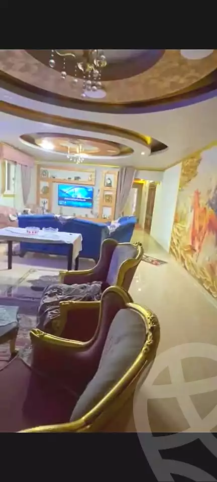 https://aqarmap.com.eg/en/listing/6661155-for-sale-alexandria-l-jmy-lbytsh-qased-kareem-st
