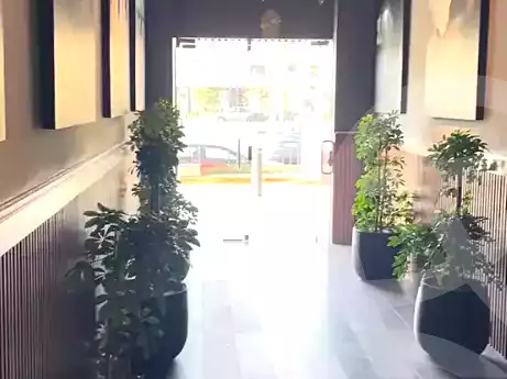 https://aqarmap.com.eg/en/listing/6495726-for-rent-cairo-new-cairo-mohammed-nagib-axis-st