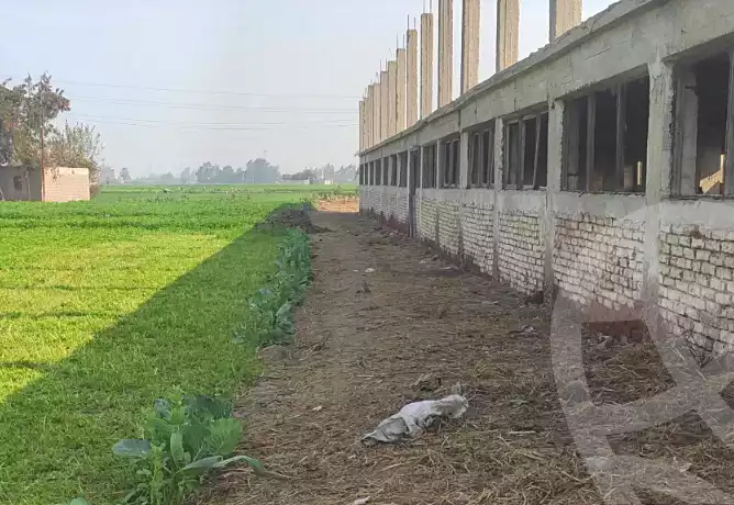 https://aqarmap.com.eg/ar/listing/6662096-for-rent-sharqia-zagazig-tarowt