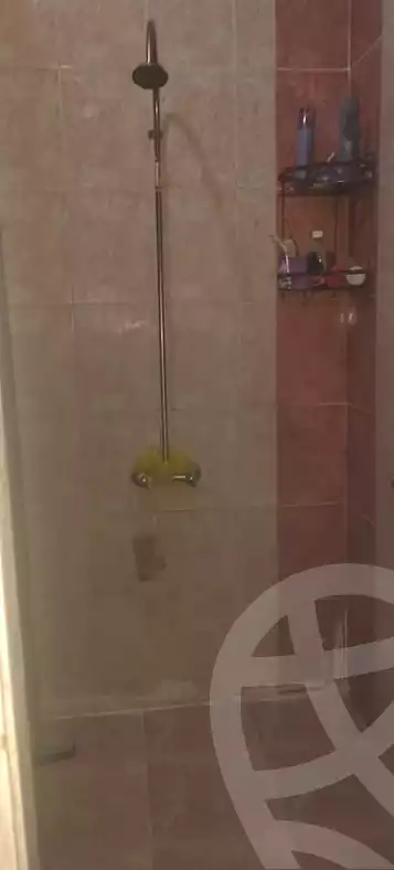 https://aqarmap.com.eg/ar/listing/6662292-for-sale-alexandria-l-jmy-lbytsh-el-hay-st