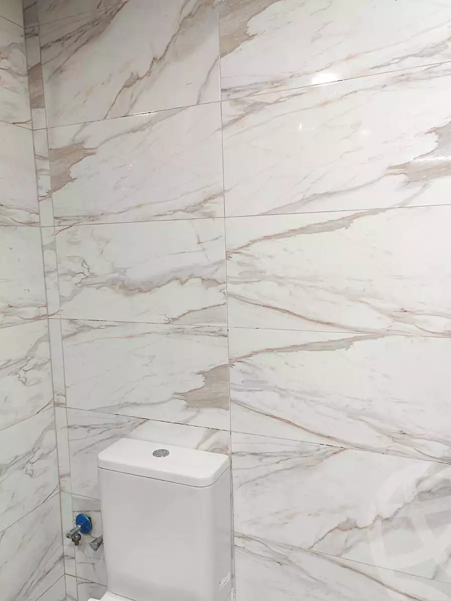 https://aqarmap.com.eg/en/listing/6665092-for-rent-cairo-new-cairo-90th-street-south-teseen-st
