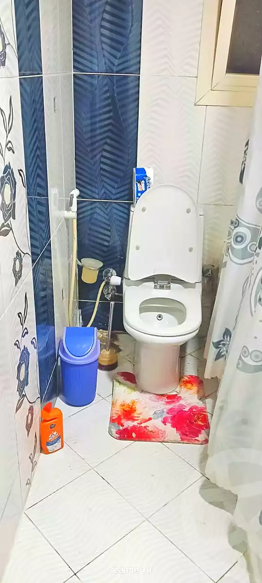 https://aqarmap.com.eg/ar/listing/6669034-for-rent-cairo-manial-kwrnysh-lmnyl