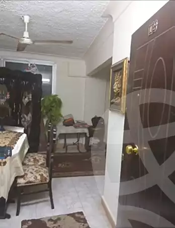 https://aqarmap.com.eg/ar/listing/6676433-for-sale-alexandria-l-jmy-lbytsh-al-samalehy-2-st