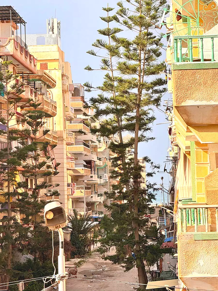 https://aqarmap.com.eg/ar/listing/6678385-for-sale-alexandria-l-jmy-shataa-el-nakheel-street-55