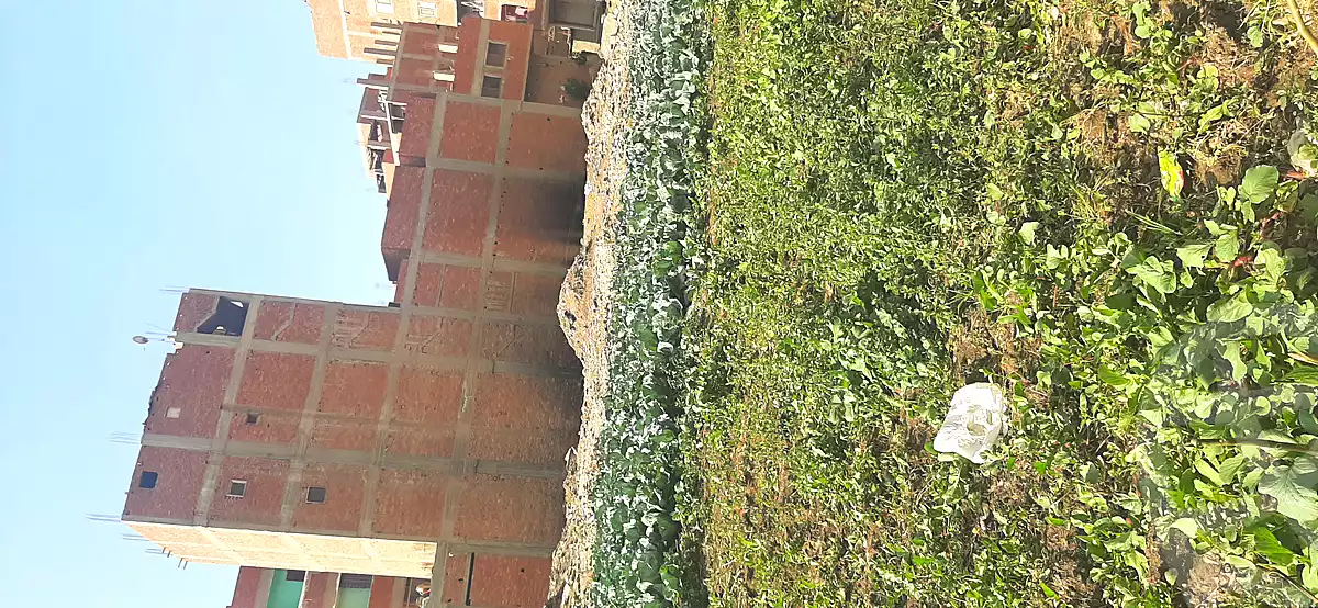 https://aqarmap.com.eg/en/listing/4421836-for-sale-cairo-imbaba-nahia