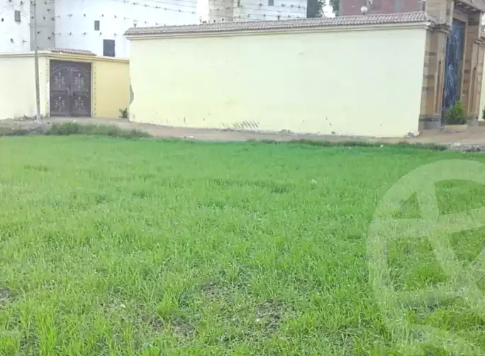 https://aqarmap.com.eg/en/listing/6684352-for-sale-sharqia-abu-hamad-abou-hammad-city