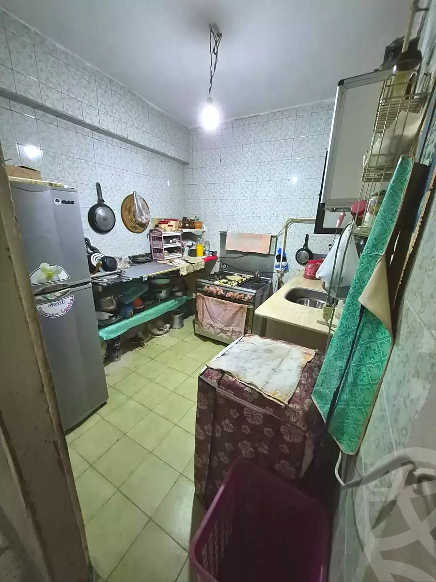 https://aqarmap.com.eg/ar/listing/6688158-for-sale-alexandria-l-jmy-lbytsh-qased-kareem-st