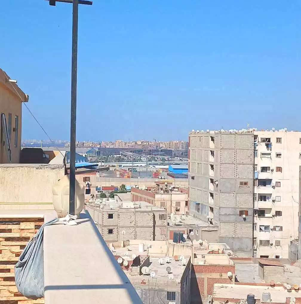 https://aqarmap.com.eg/en/listing/6689521-for-sale-alexandria-l-jmy-lbytsh