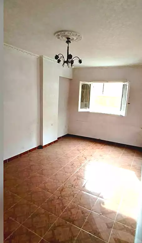 https://aqarmap.com.eg/ar/listing/6696119-for-sale-alexandria-el-dekhela