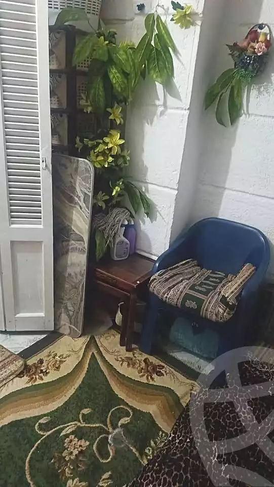 https://aqarmap.com.eg/en/listing/6696492-for-sale-alexandria-l-jmy-bw-ywsf