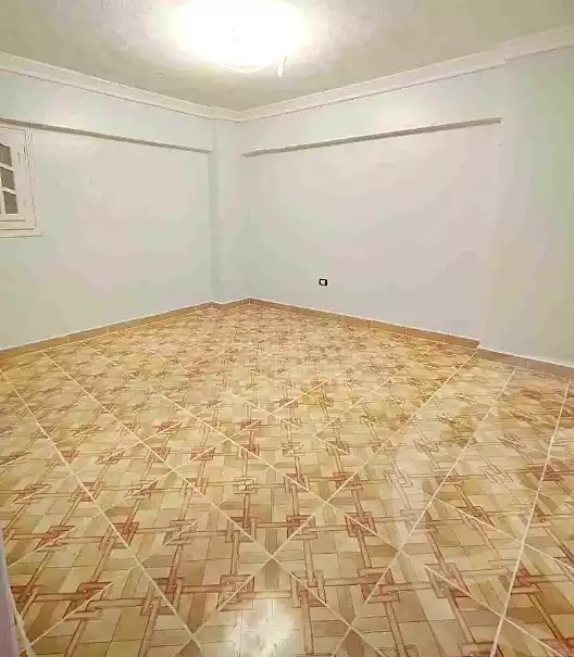 https://aqarmap.com.eg/en/listing/6701248-for-sale-alexandria-l-jmy-shataa-el-nakheel