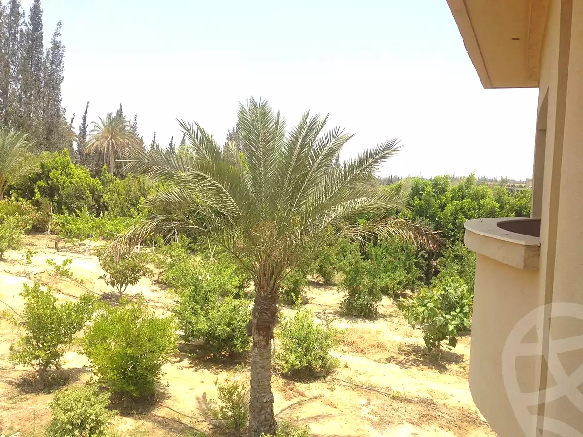 فيلا بـ٥ غرف نوم في حدائق السليمانية، صورة ٢٠ من ٢٠