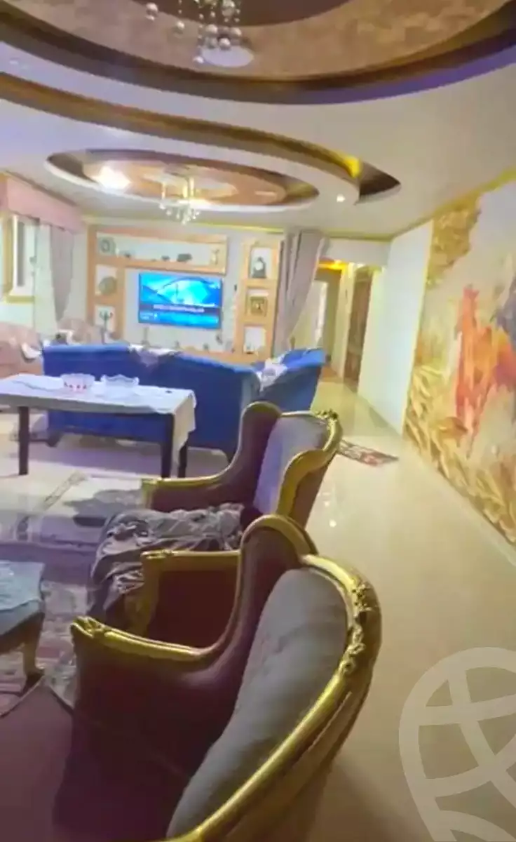 https://aqarmap.com.eg/en/listing/6702865-for-sale-alexandria-l-jmy-lbytsh-qased-kareem-st
