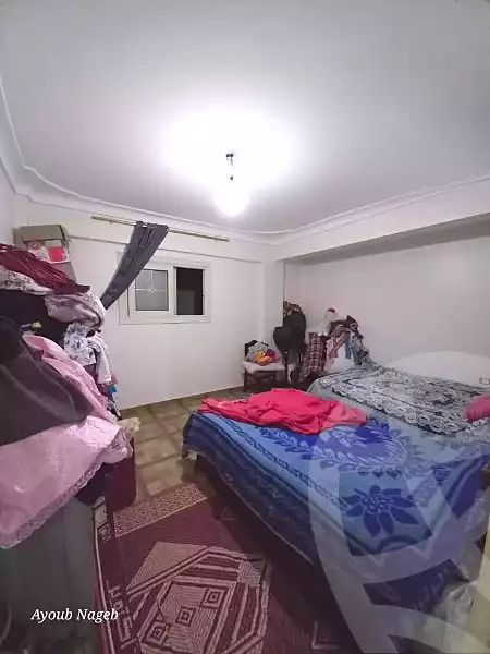 https://aqarmap.com.eg/en/listing/6703772-for-sale-alexandria-l-jmy-lbytsh-princess-st