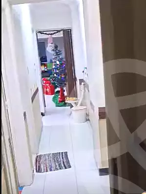 https://aqarmap.com.eg/en/listing/6703855-for-sale-cairo-el-zaytun-lzytwn-lbhry-salim-al-awal-st