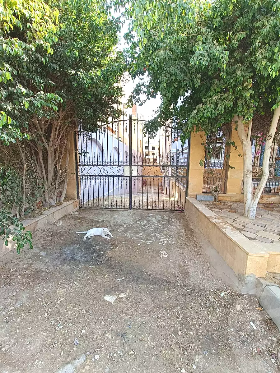 https://aqarmap.com.eg/ar/listing/6706193-for-rent-cairo-new-cairo-el-ahyaa-second-neighborhood-street-14