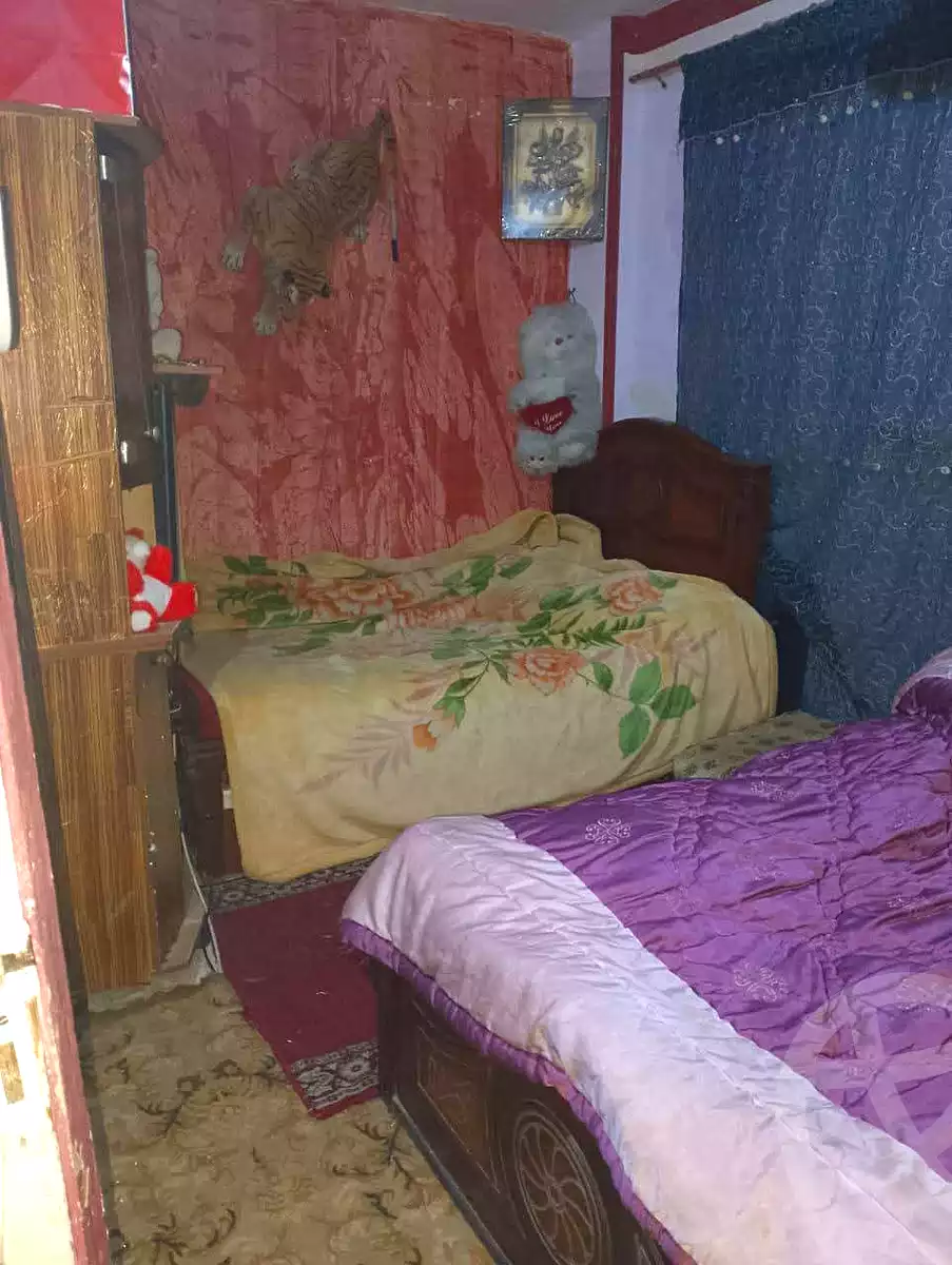 https://aqarmap.com.eg/en/listing/6706702-for-sale-alexandria-l-jmy-lbytsh