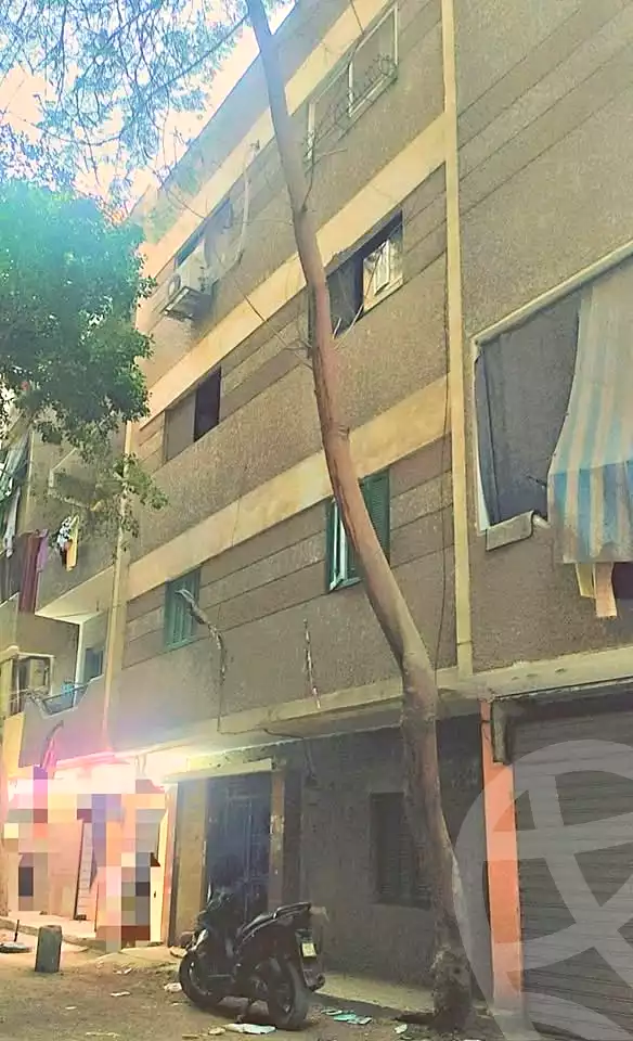 https://aqarmap.com.eg/en/listing/6715118-for-sale-cairo-el-haram-shareaa-khatem-el-morsalen