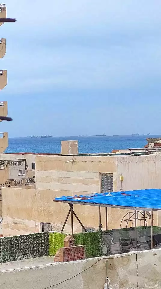 https://aqarmap.com.eg/en/listing/6717112-for-sale-alexandria-l-jmy-shataa-el-nakheel
