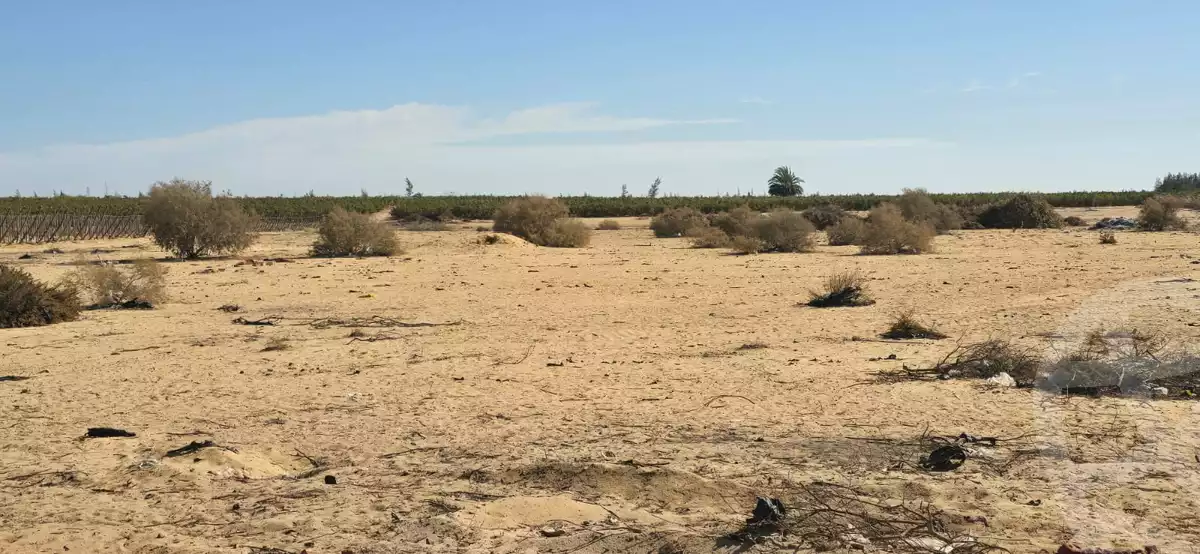 https://aqarmap.com.eg/en/listing/6706361-for-sale-beheira-wadi-el-natrun-bany-salama